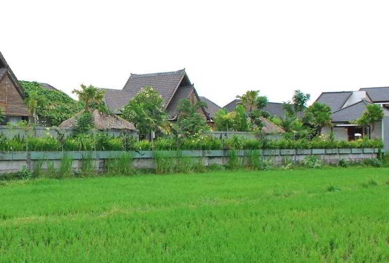 Djabu Seminyak Denpasar